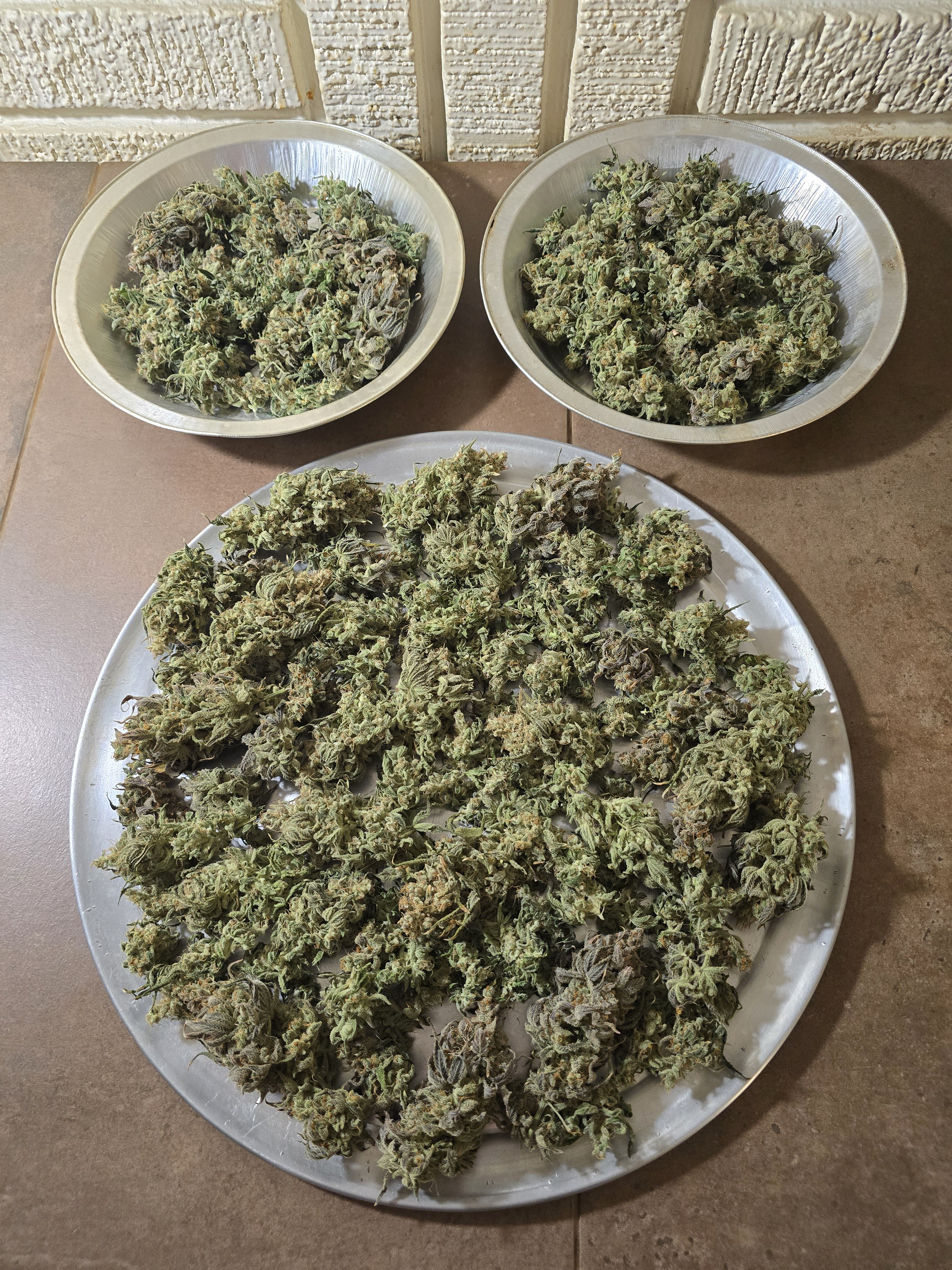 Click image for larger version

Name:	20260405_032456.jpg
Views:	12
Size:	4.83 MB
ID:	664852