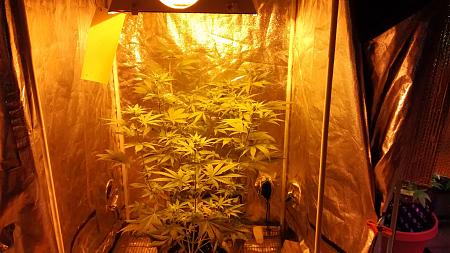 Click image for larger version

Name:	IMG_20180312_190250009.jpg
Views:	203
Size:	963.8 KB
ID:	185341