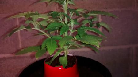 Click image for larger version

Name:	IMG_20180216_084707653.jpg
Views:	257
Size:	438.6 KB
ID:	176376