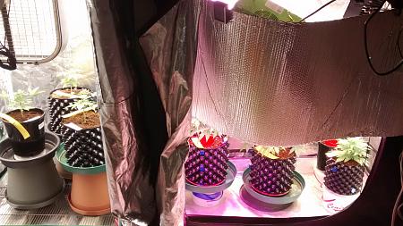 Click image for larger version

Name:	IMG_20180218_171652994.jpg
Views:	245
Size:	937.9 KB
ID:	177062