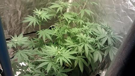 Click image for larger version

Name:	IMG_20180309_181213842.jpg
Views:	263
Size:	975.3 KB
ID:	184244