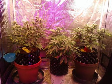 Click image for larger version

Name:	20180225_133010.jpg
Views:	234
Size:	1.32 MB
ID:	179722