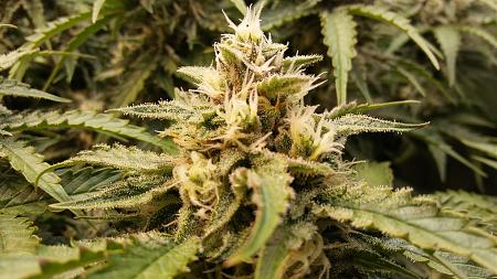 Click image for larger version

Name:	20180307_180704.jpg
Views:	225
Size:	2.27 MB
ID:	183474