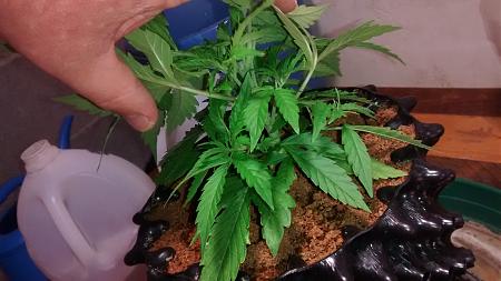 Click image for larger version

Name:	IMG_20180216_082140187.jpg
Views:	243
Size:	665.1 KB
ID:	176378