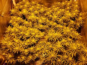 Click image for larger version

Name:	20181126_143440.jpg
Views:	272
Size:	4.67 MB
ID:	270689