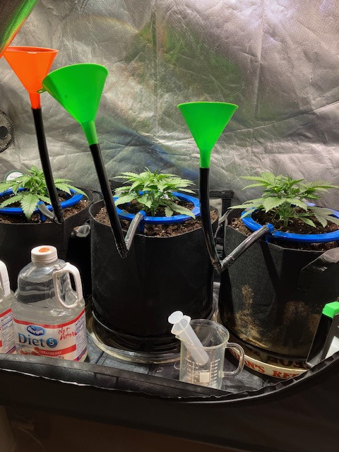 Click image for larger version

Name:	IMG_0705.jpg
Views:	0
Size:	111.6 KB
ID:	664859