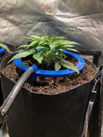 Click image for larger version

Name:	IMG_0703.jpg
Views:	0
Size:	125.1 KB
ID:	664864