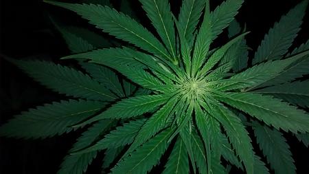 Click image for larger version

Name:	IMG_20180816_053058181.jpg
Views:	267
Size:	597.2 KB
ID:	238488