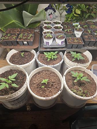 Click image for larger version

Name:	20260406_162404.jpg
Views:	6
Size:	3.37 MB
ID:	664906