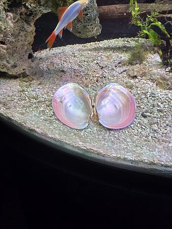 Click image for larger version

Name:	20260407_144612.jpg
Views:	35
Size:	2.34 MB
ID:	664923