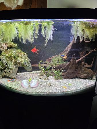 Click image for larger version

Name:	20260407_144209.jpg
Views:	36
Size:	3.22 MB
ID:	664924