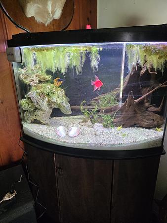 Click image for larger version

Name:	20260407_143804.jpg
Views:	35
Size:	3.16 MB
ID:	664925