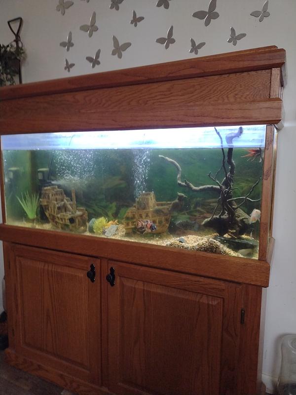 Click image for larger version

Name:	17755924022667519326333852639154.jpg
Views:	29
Size:	1.68 MB
ID:	664928