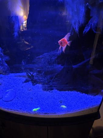 Click image for larger version

Name:	20260407_193818.jpg
Views:	29
Size:	1.58 MB
ID:	664941