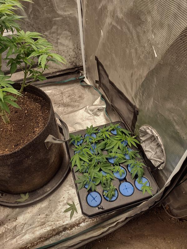 Click image for larger version

Name:	IMG_20260408_085016172_HDR.jpg
Views:	45
Size:	3.78 MB
ID:	664959