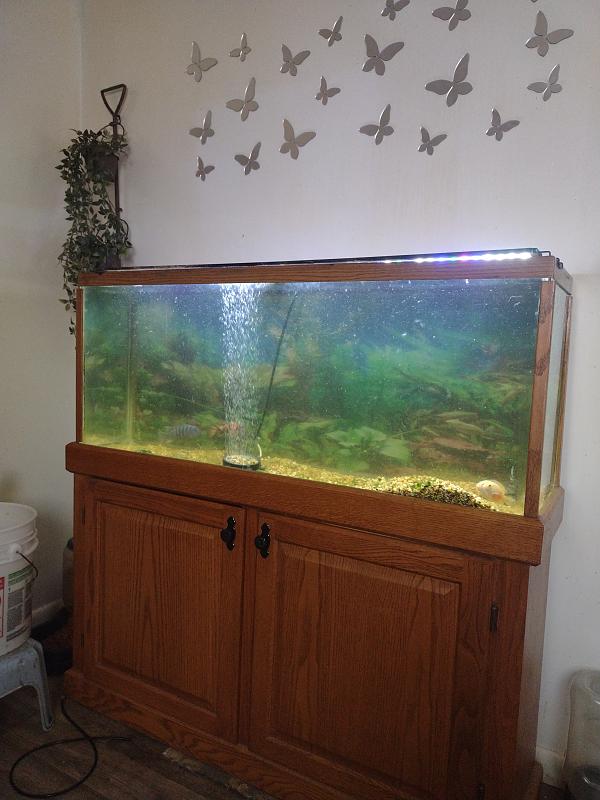 Click image for larger version

Name:	17756724840204467002028955713417.jpg
Views:	10
Size:	2.87 MB
ID:	664967