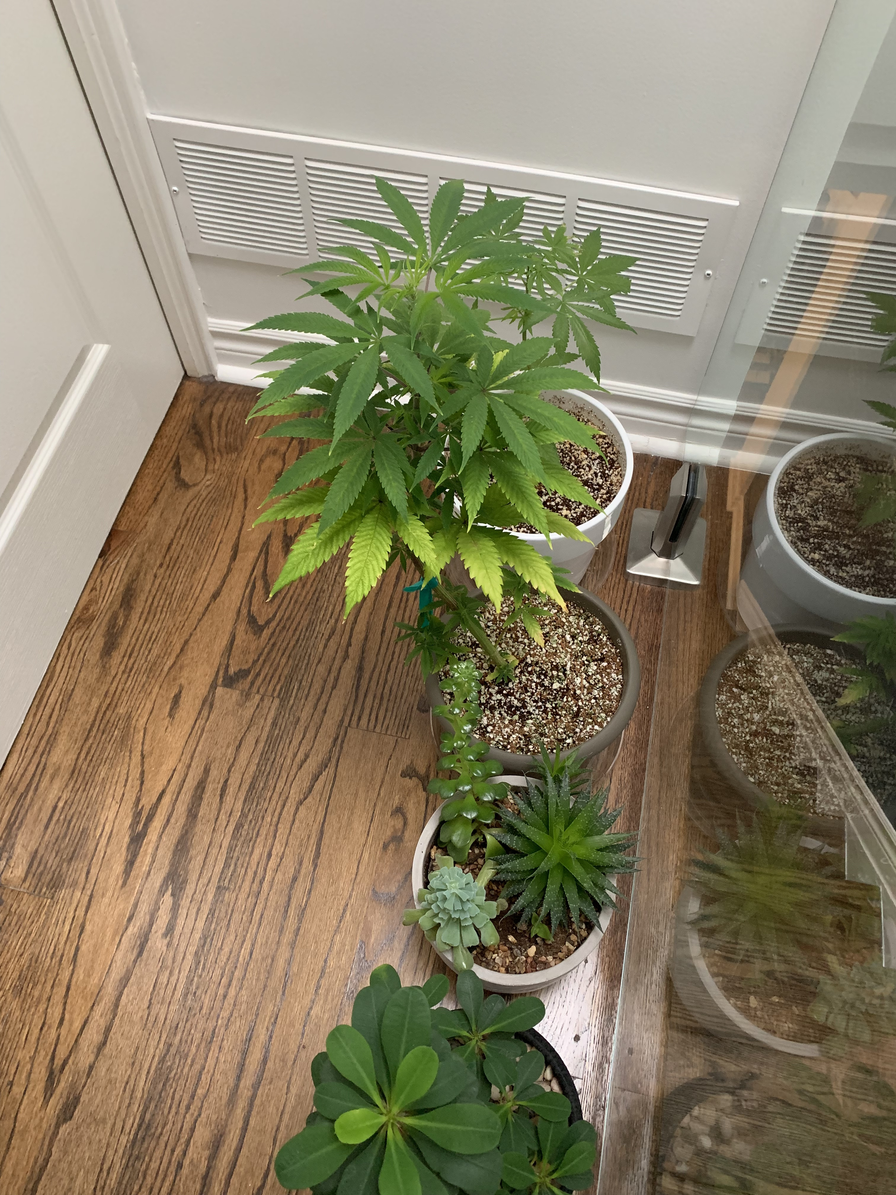 Click image for larger version

Name:	IMG_1140.jpg
Views:	549
Size:	2.98 MB
ID:	357335