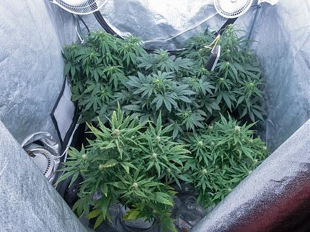 Click image for larger version

Name:	LRM_EXPORT_743373272518866_20190305_050709532.jpeg
Views:	209
Size:	1.06 MB
ID:	296288