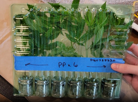 Click image for larger version

Name:	image.png
Views:	57
Size:	2.12 MB
ID:	665003