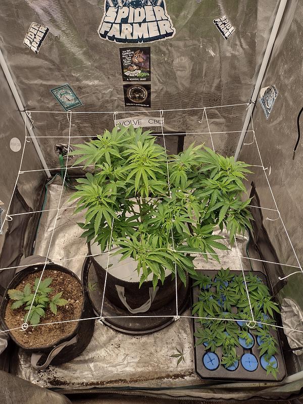 Click image for larger version

Name:	IMG_20260409_173113569_HDR.jpg
Views:	29
Size:	4.41 MB
ID:	665006