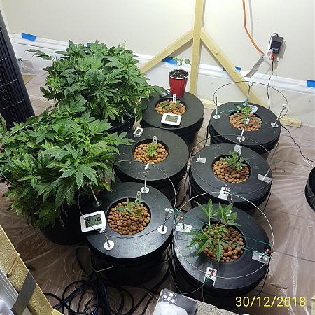 Click image for larger version

Name:	the gang.jpg
Views:	400
Size:	1.19 MB
ID:	280308