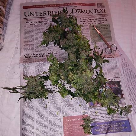 Click image for larger version

Name:	20170220_081836.jpg
Views:	223
Size:	5.85 MB
ID:	58844