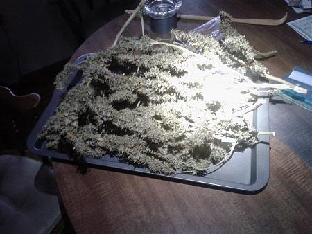 Click image for larger version

Name:	20170822_075932.jpg
Views:	235
Size:	2.58 MB
ID:	127250