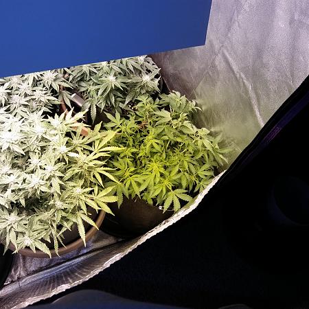 Click image for larger version

Name:	20170220_181046.jpg
Views:	207
Size:	5.85 MB
ID:	59113