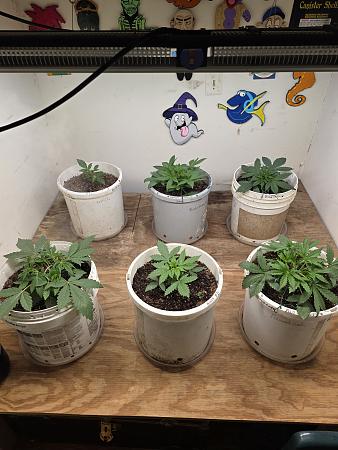 Click image for larger version

Name:	20260413_174517.jpg
Views:	188
Size:	2.64 MB
ID:	665124