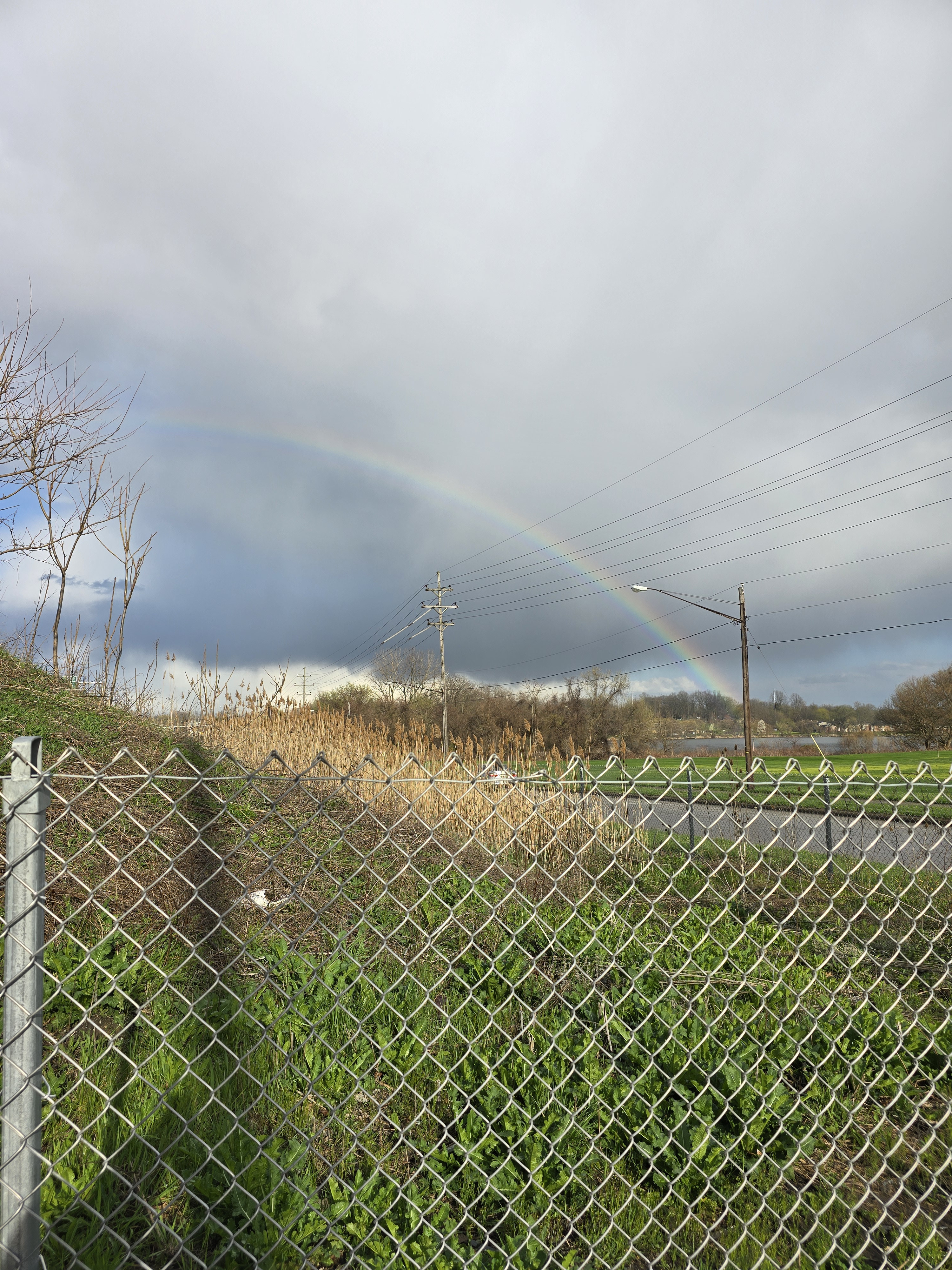 Click image for larger version

Name:	20260406_175853.jpg
Views:	52
Size:	3.77 MB
ID:	665137