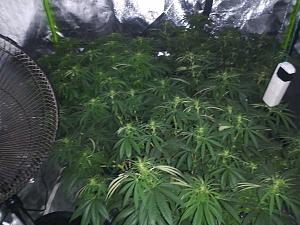 Click image for larger version

Name:	IMG_20181009_103947.jpg
Views:	245
Size:	2.23 MB
ID:	256714