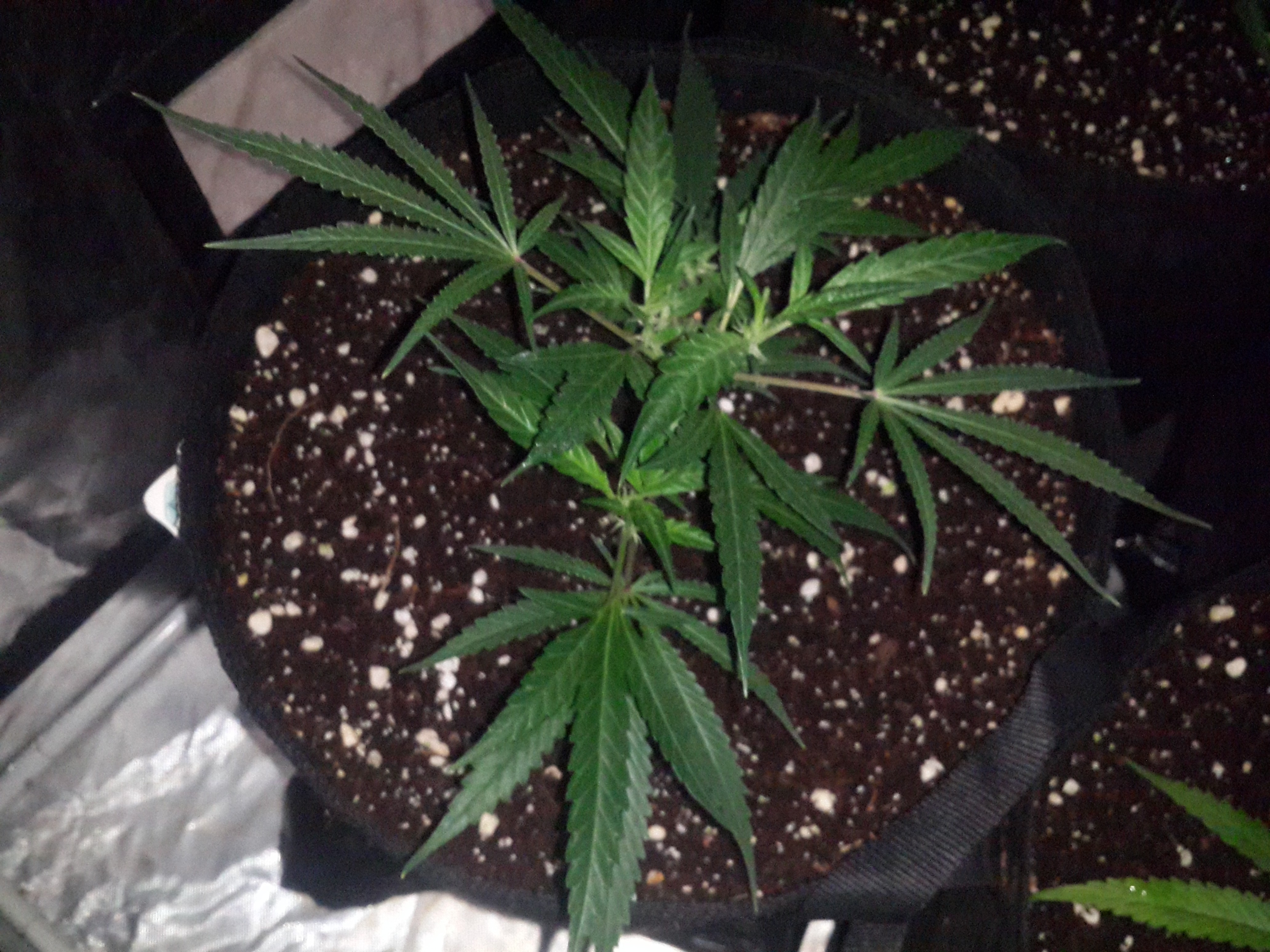 Click image for larger version

Name:	20190507_083326.jpg
Views:	146
Size:	1.93 MB
ID:	309409