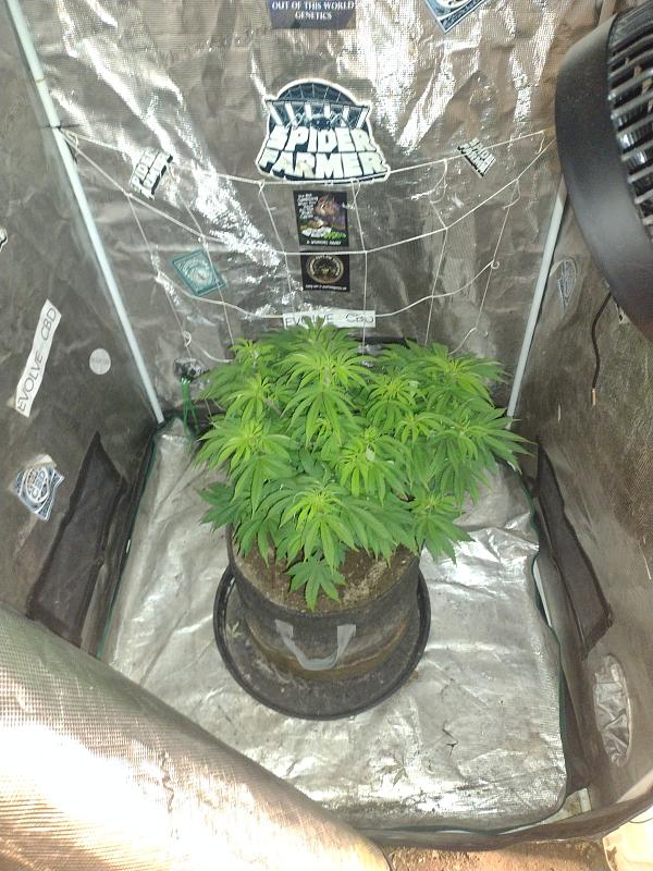 Click image for larger version

Name:	IMG_20260415_091551849.jpg
Views:	9
Size:	2.98 MB
ID:	665166