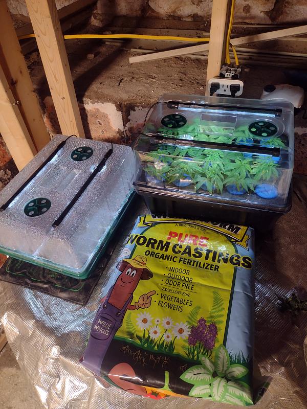 Click image for larger version

Name:	IMG_20260415_091453295.jpg
Views:	7
Size:	3.34 MB
ID:	665167