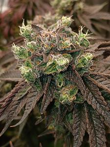 Click image for larger version

Name:	20260415_210441.jpg
Views:	0
Size:	2.94 MB
ID:	665232