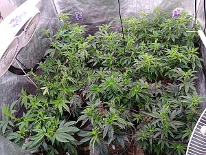 Click image for larger version

Name:	20260415_211546.jpg
Views:	0
Size:	4.52 MB
ID:	665234