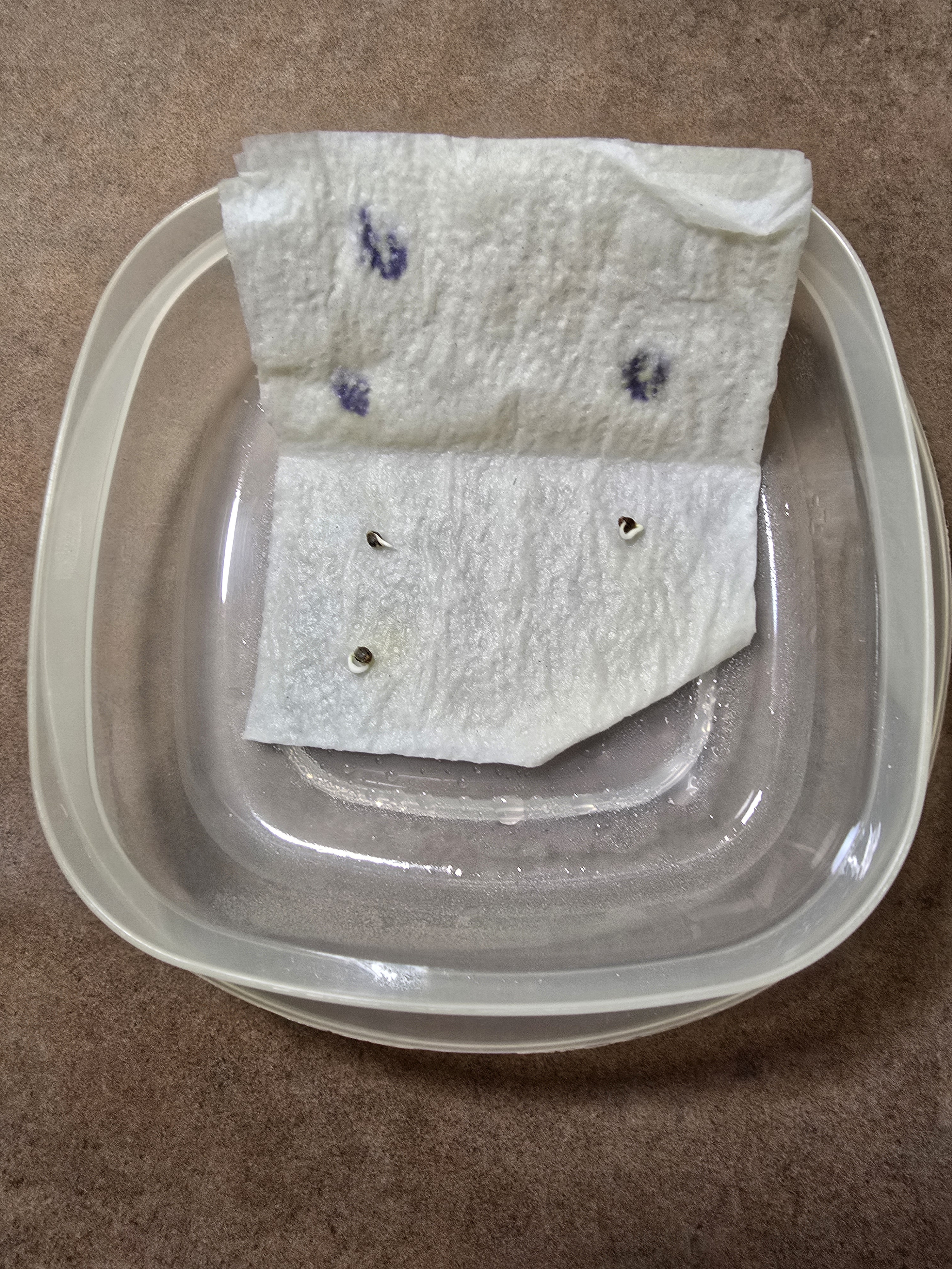 Click image for larger version  Name:	20260416_160823.jpg Views:	0 Size:	2.98 MB ID:	665240