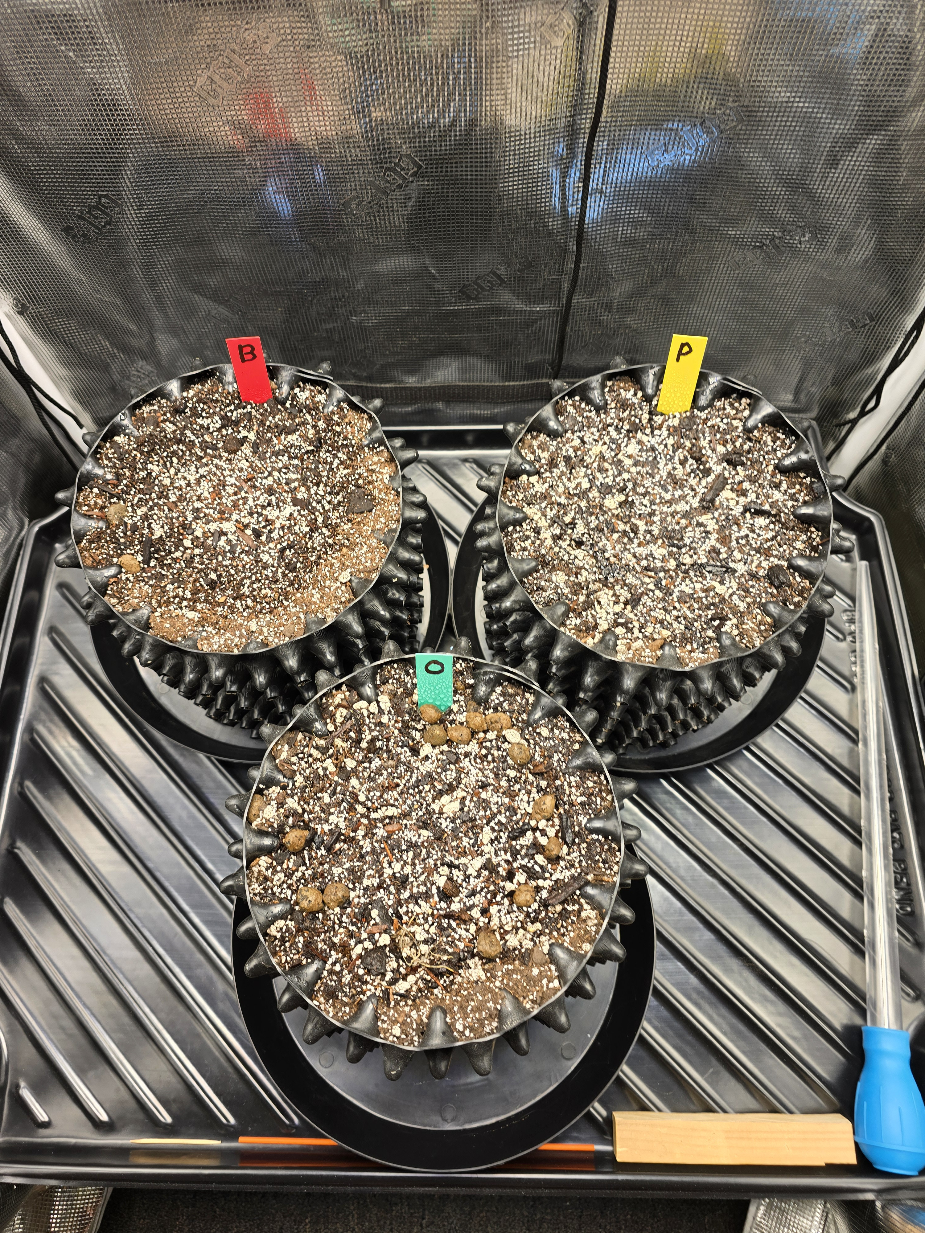 Click image for larger version  Name:	20260416_164136.jpg Views:	0 Size:	4.33 MB ID:	665241