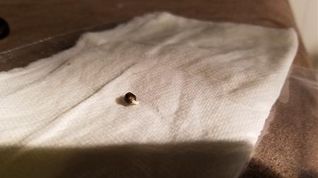 Click image for larger version

Name:	20181112_103854.jpg
Views:	234
Size:	1.06 MB
ID:	266942