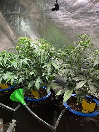 Click image for larger version

Name:	image4.jpg
Views:	3
Size:	139.3 KB
ID:	665348