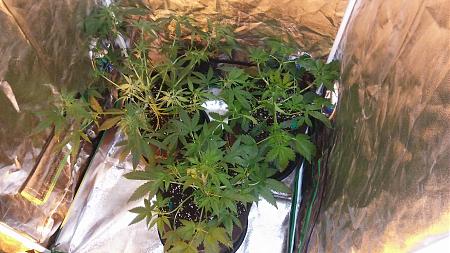 Click image for larger version

Name:	20170504_100715.jpg
Views:	239
Size:	5.27 MB
ID:	88205