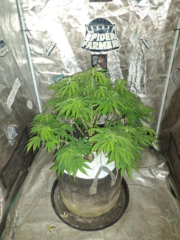 Click image for larger version

Name:	IMG_20260423_083710035.jpg
Views:	31
Size:	3.30 MB
ID:	665391