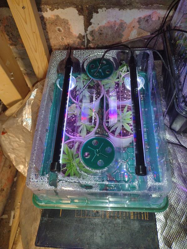 Click image for larger version

Name:	IMG_20260423_083622990.jpg
Views:	29
Size:	3.01 MB
ID:	665392