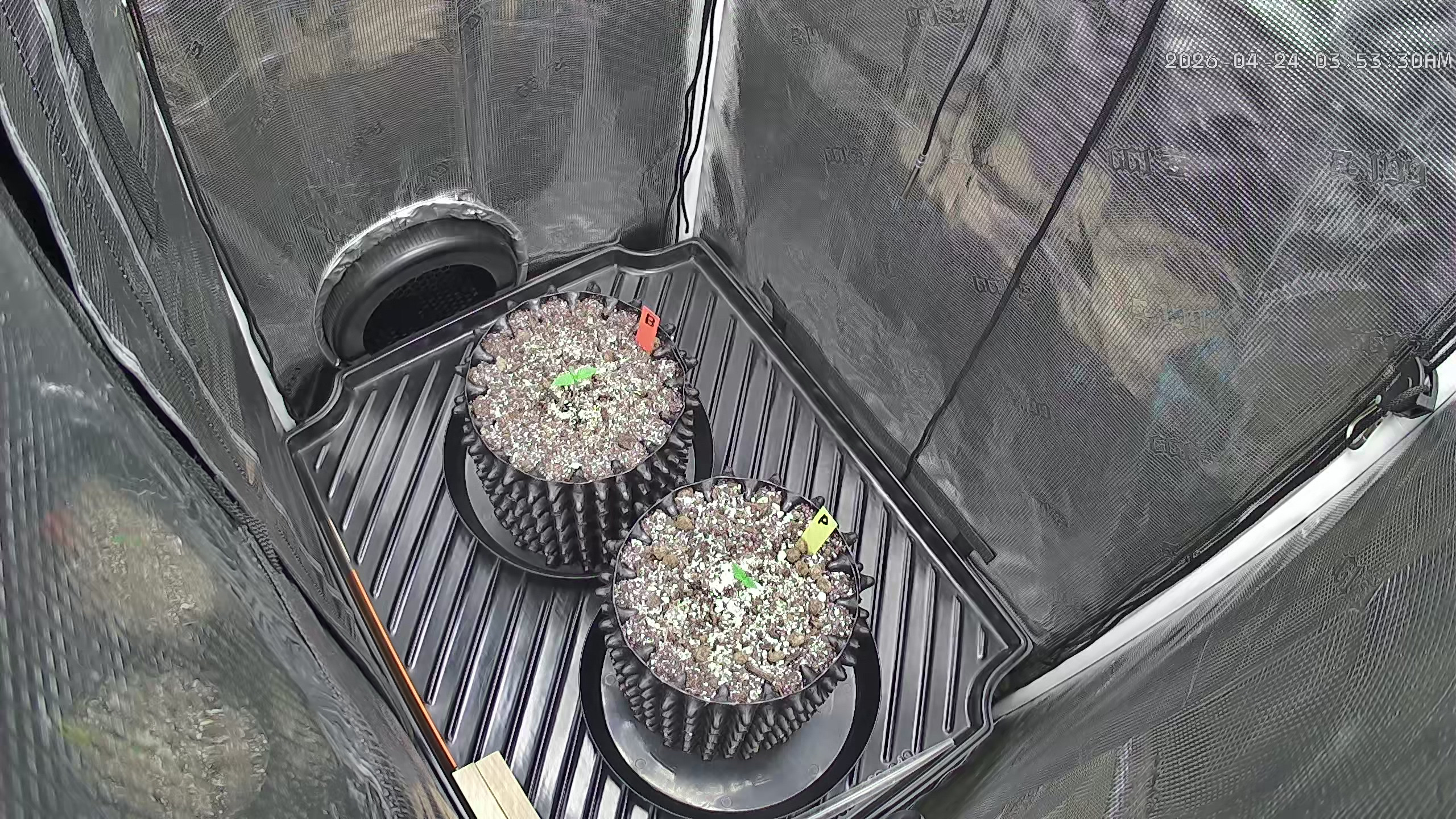 Click image for larger version

Name:	2026-04-24.jpg
Views:	1
Size:	1.39 MB
ID:	665410