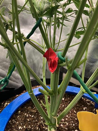 Click image for larger version

Name:	image1 (1).jpg
Views:	0
Size:	837.8 KB
ID:	665465