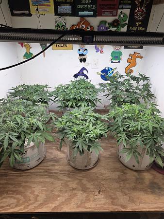 Click image for larger version

Name:	20260426_160803.jpg
Views:	3
Size:	3.00 MB
ID:	665482