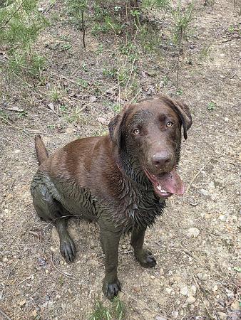 Click image for larger version

Name:	20260425_153806.jpg
Views:	3
Size:	5.13 MB
ID:	665483