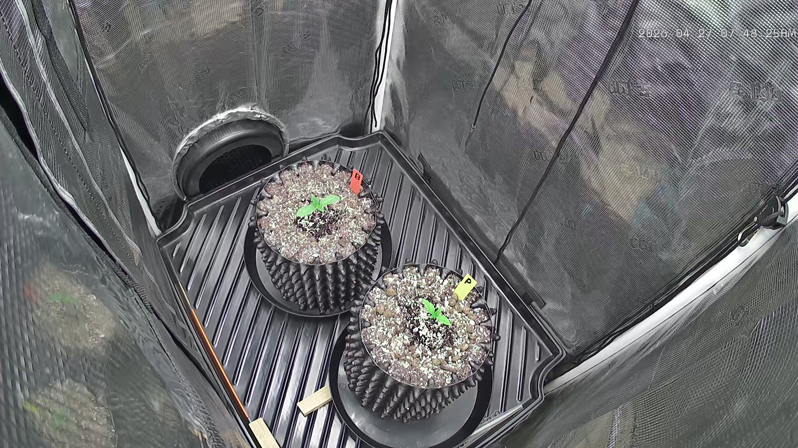 Click image for larger version

Name:	2026-04-27.jpg
Views:	0
Size:	1.39 MB
ID:	665495