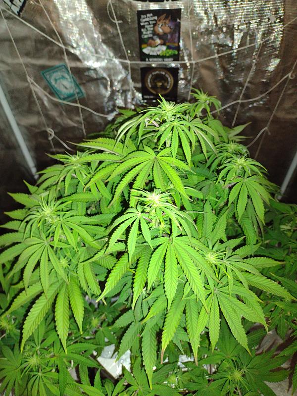 Click image for larger version

Name:	IMG_20260428_073225484.jpg
Views:	5
Size:	4.17 MB
ID:	665502