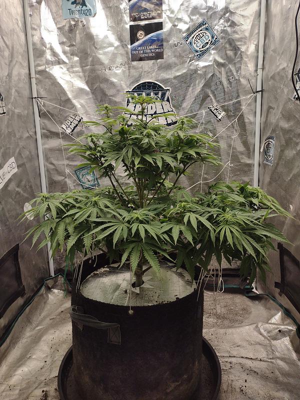 Click image for larger version

Name:	IMG_20260428_180824979.jpg
Views:	2
Size:	4.39 MB
ID:	665532